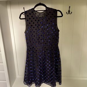 BEAUTIFUL J Crew Dress